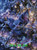 Bat Celestial Jars ©Sandrietta  – Licensed Diamond Art Kit - Made to Order