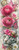 White tiger wearing a pink pirate hat with skull and crossbones surrounded by large pink flowers, butterflies, and gold accents.