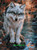 Shadows of October ©Cocomarshmallow Art  – Licensed Diamond Art Kit - Made to Order
