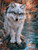 Shadows of October by Cocomarshmallow Art featuring a close-up silver-gray wolf with icy blue eyes beside a sparkling woodland stream surrounded by rich orange autumn leaves.