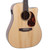 Recording King G6 Series Solid-Top Dreadnought w/Cutaway & Fishman EQ