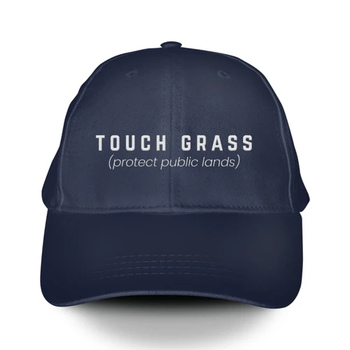 Touch Grass (Navy Embroidered Baseball Cap)