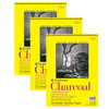 300 Series Charcoal Pad, Top Wire Binding, 32 Sheet, 9x12 inch, Pack of 3
