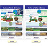 Ecology Bulletin Board Chart Set, Grades 3-5 Ecology Bulletin Board Chart Set, Grades 3-5