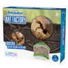 GeoSafari® Ant Factory™ GeoSafari® Ant Factory™
