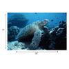 Sea Life Poster Set, Set of 14 Sea Life Poster Set, Set of 14