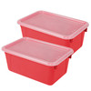 Small Cubby Bin, with Cover, Classroom Red, Pack of 2