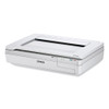 WorkForce DS-50000 Scanner, Scans Up to 11.7" x 17", 600 dpi Optical Resolution