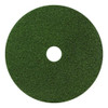 Black Diamond 3000 Grit Diamond Pad, 14" Diameter, Black/Green, 2/Carton