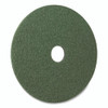 Black Diamond 3000 Grit Diamond Pad, 17" Diameter, Black/Green, 2/Carton