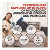 True HEPA Air Purifier Replacement Filter, 6.75 x 10.32