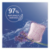 Cleaning PACS, Lavender Scent, 10/Pack