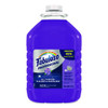 All-Purpose Cleaner, Lavender Scent, 1 gal Bottle