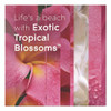 Plugin Scented Oil Refill, Exotic Tropical Blossoms, 0.67 oz, 10/Pack