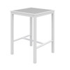 Eveleen Outdoor Bistro Patio Table with Two Gray Powder-Coated Polymer Barstools, 30" Square, Gray