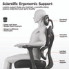 Norn Ergonomic Chair, Supports Up to 275 lb, 18.11" to 22.04" Seat Height, Black/Gray Mesh Seat/Back, Black Base