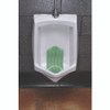 Tsunami, Urinal Screen, Cucumber Melon, 5.22 oz, Green, 6/Carton
