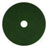 Scrubbing Pads, 13", Green, 5/Carton