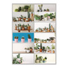 12-Month Wall Calendar, Succulent Plants Photography, 12 x 17, White/Multicolor Sheets, 12-Month (Jan to Dec): 2025