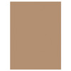 Construction Paper, Medium Weight, Light Brown, 9" x 12", 50 Sheets Per Pack, 10 Packs
