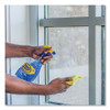 Streak-Free Glass Cleaner, Pleasant Scent, 32 oz Spray Bottle