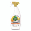 Botanical Disinfecting Multi-Surface Cleaner, 26 oz Spray Bottle