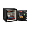 Fire-Safe with Biometric and Keypad Access, 1.23 cu ft, 16.3w x 19.3d x 17.8h, Black