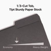 Interior File Folders, 1/3-Cut Tabs: Assorted, Letter Size, 0.75" Expansion, Black/Gray, 100/Box