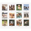 Earthscapes Recycled Desk Tent Monthly Calendar, Puppies Photography, 8.5 x 4.5, White Sheets, 12-Month (Jan to Dec): 2025