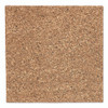 iDesign Frameless Cork Bulletin Board, 18" x 18", Tan Surface