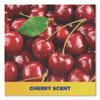 Cherry Bomb Gel Hand Cleaner, Cherry Scent, 48 oz, 4/Carton Cherry Bomb Gel Hand Cleaner, Cherry Scent, 48 oz, 4/Carton