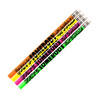 You're Somebody Special Motivational Pencil, 12 Per Pack, 12 Packs