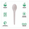 Plantware Compostable Cutlery, Spoon, Plastic, White, 1,000/Carton
