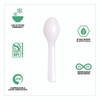 Plantware CPLA Tasting Spoon, Plastic, 3", White, 2,000/Carton