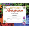 Certificate of Participation, 8.5" x 11", Pack of 30
