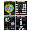 Cells Posters, Set of 4