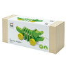 Dancing Alligator Wooden Pull Toy