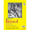 300 Series Bristol Pad, Vellum Finish, Tape Binding, 20 Sheet, 9x12 inch, 1 Count