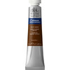 CWC 21ml tube - Burnt Umber
