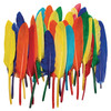 Duck Quills, Assorted Colors, 3" to 5", 14 grams Per Pack, 6 Packs Duck Quills, Assorted Colors, 3" to 5", 14 grams Per Pack, 6 Packs