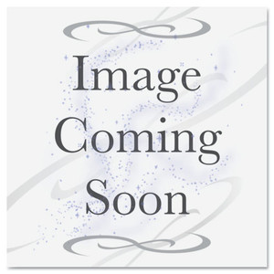 T699300 Cleaning Kit T699300 Cleaning Kit
