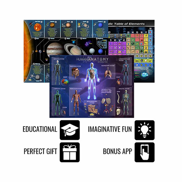 Human Anatomy Smart Mats, Set of 4