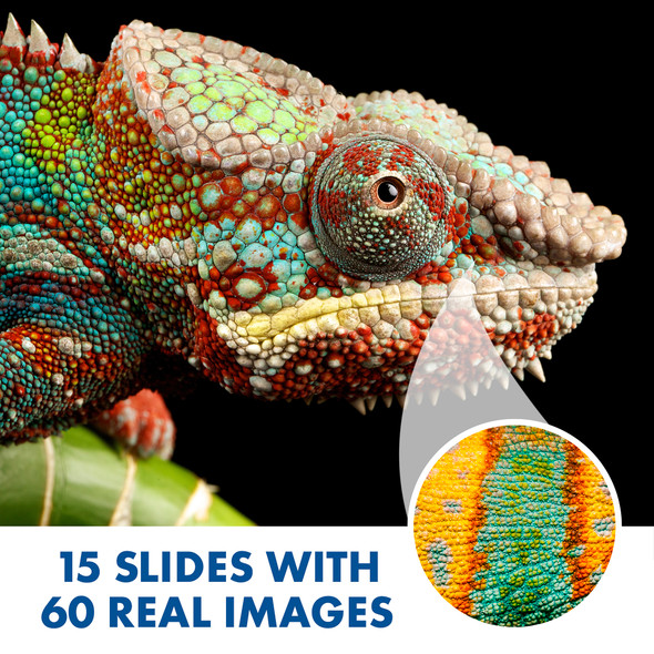 GeoSafari® Jr. Kidscope™