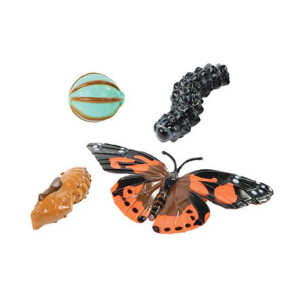 Butterfly Life Cycle Stages Figurines, 4 Per Set, 2 Sets Butterfly Life Cycle Stages Figurines, 4 Per Set, 2 Sets