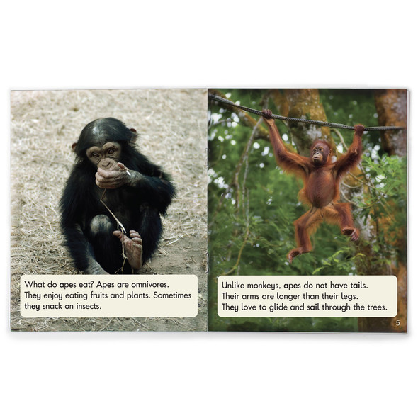 Sound Families Decodable Readers Long Vowels Non-Fiction Phase 5.5, Set of 12 Sound Families Decodable Readers Long Vowels Non-Fiction Phase 5.5, Set of 12