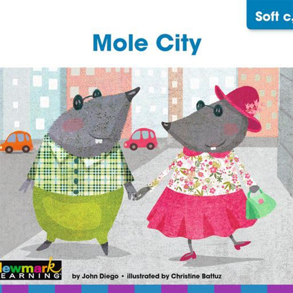 Decodable Readers Grade 1 Long Vowels, 24 Books