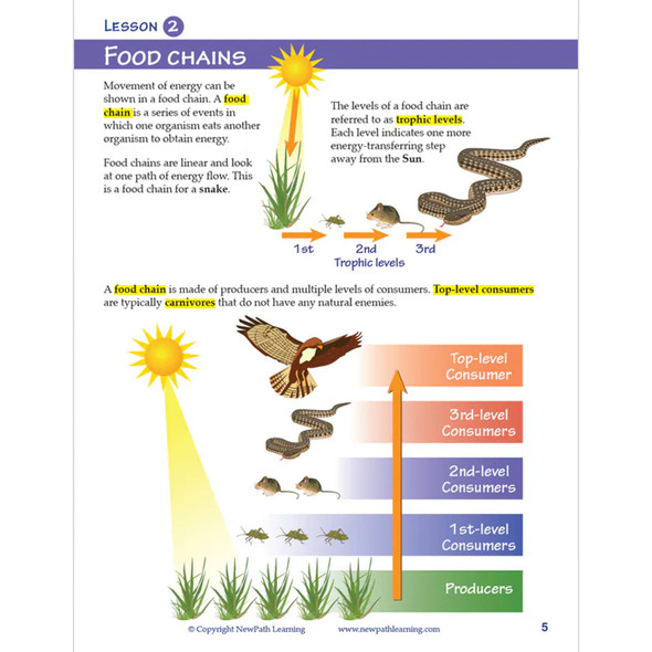 Food Chains & Food Webs Learning Center