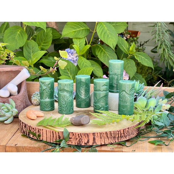 Let's Roll Dinosaurs - Set of 6