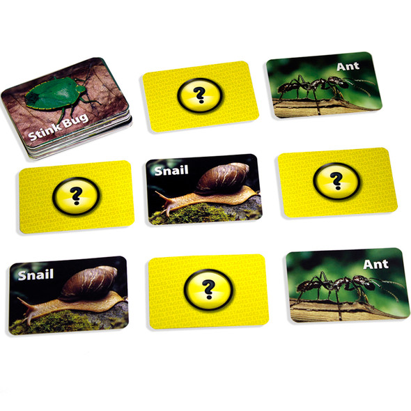 Photographic Memory Matching Game, Insects & Bugs, Pack of 3 Photographic Memory Matching Game, Insects & Bugs, Pack of 3