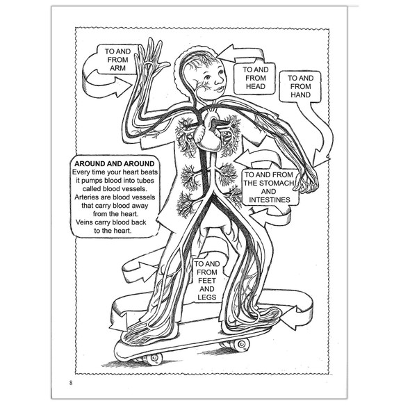 My First Human Body Coloring Book, Pack of 6
